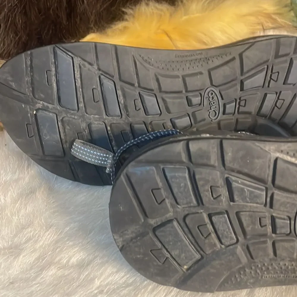 Chaco great